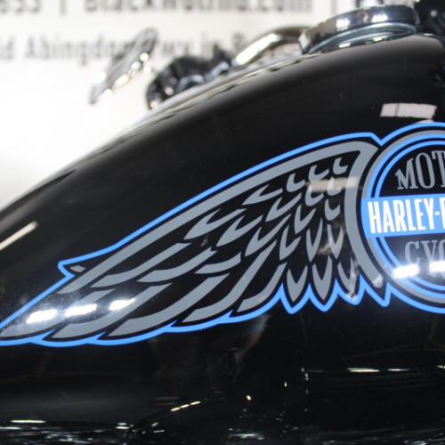 2025 Low Rider™ ST FXLRST  thumb 1