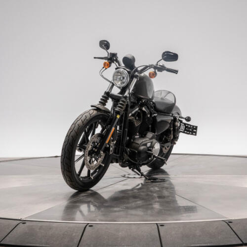 2019 HARLEY-DAVIDSON XL883N IRON 883 in Industrial Gray thumb 1