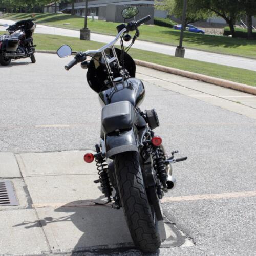 2019 Harley-Davidson Sportster Iron 1200 thumb 1