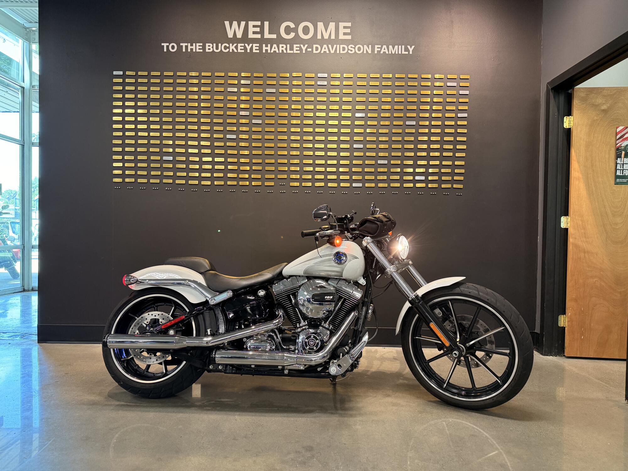 2016 Harley-Davidson® Breakout® Crushed Ice Pearl
