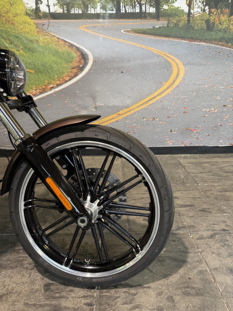 2019 Harley-Davidson® Breakout® 114 No Gimmicks, No Hidden Fees, photo 5