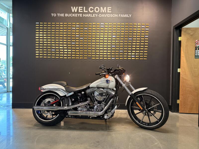2016 Harley-Davidson® Breakout® Crushed Ice Pearl