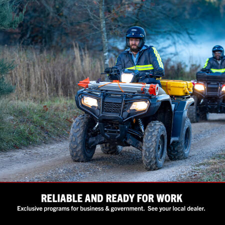 2025 Honda FourTrax Foreman® 4x4 EPS thumb 3