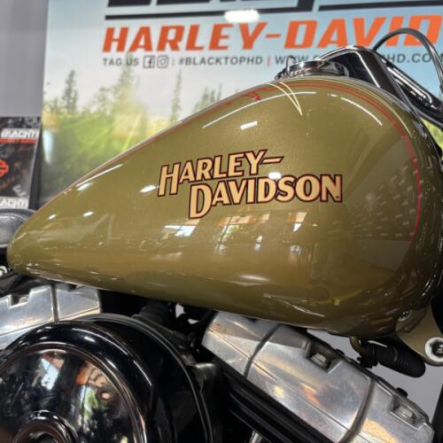 2008 Harley-Davidson® Softail® Cross Bones™ OLIVE PRL thumb 3