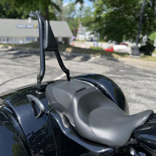 FLTRT 2024 Road Glide 3 thumb 1