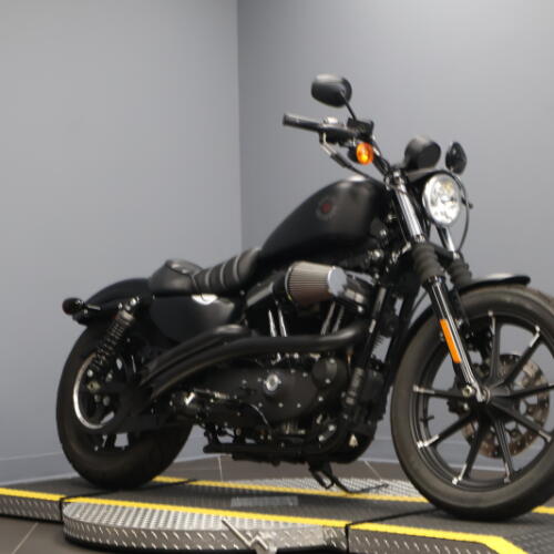 2022 Harley-Davidson® Iron 883™ Black Denim thumb 2