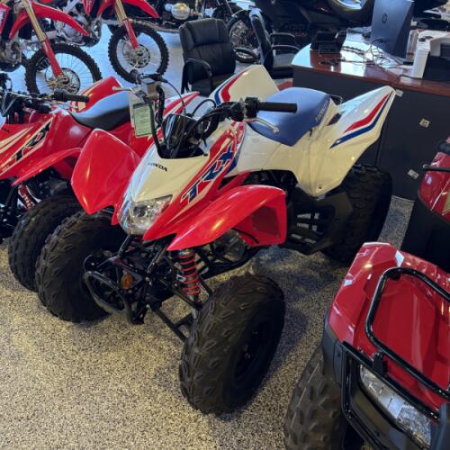 2026 Honda TRX250X thumb 2