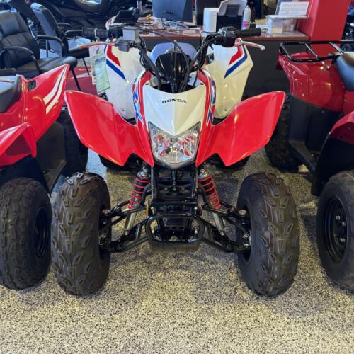 2026 Honda TRX250X thumb 3