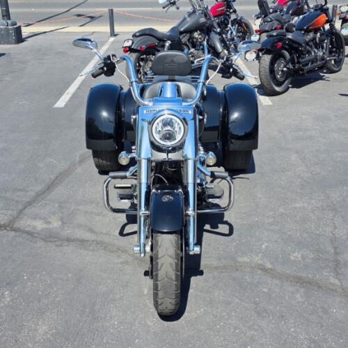 FLRT 2019 Freewheeler® thumb 1