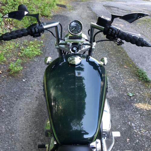 2016 Harley-Davidson® SuperLow® 1200T Two-Tone Deep Jade Pearl/Vivid Black thumb 0