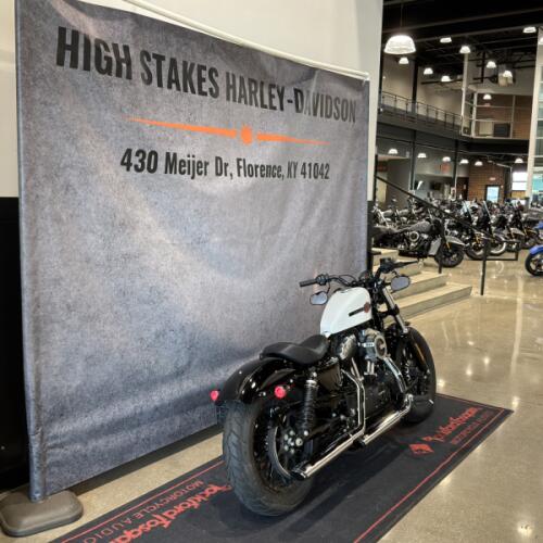 2020 Harley-Davidson® Forty-Eight® Stone Washed White Pearl thumb 1