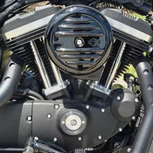 Harley-Davidson® Iron 883™ 2022 thumb 2