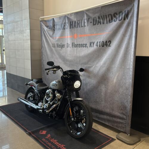 2025 Harley-Davidson® Street Bob® Billiard Gray w/Cast Wheels thumb 3