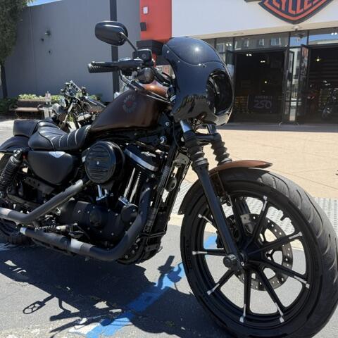2019 Harley-Davidson® Iron 883™ thumb 3