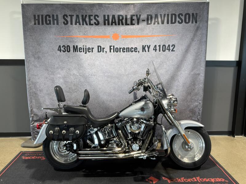 2002 Harley-Davidson® Fat Boy® Diamond Ice Pearl FLSTFI