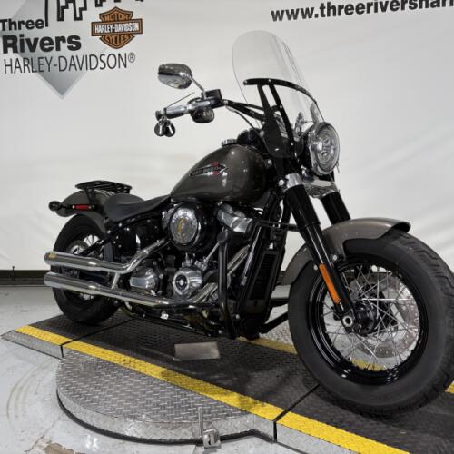 2019 Harley-Davidson® Softail Slim® Industrial Gray thumb 2