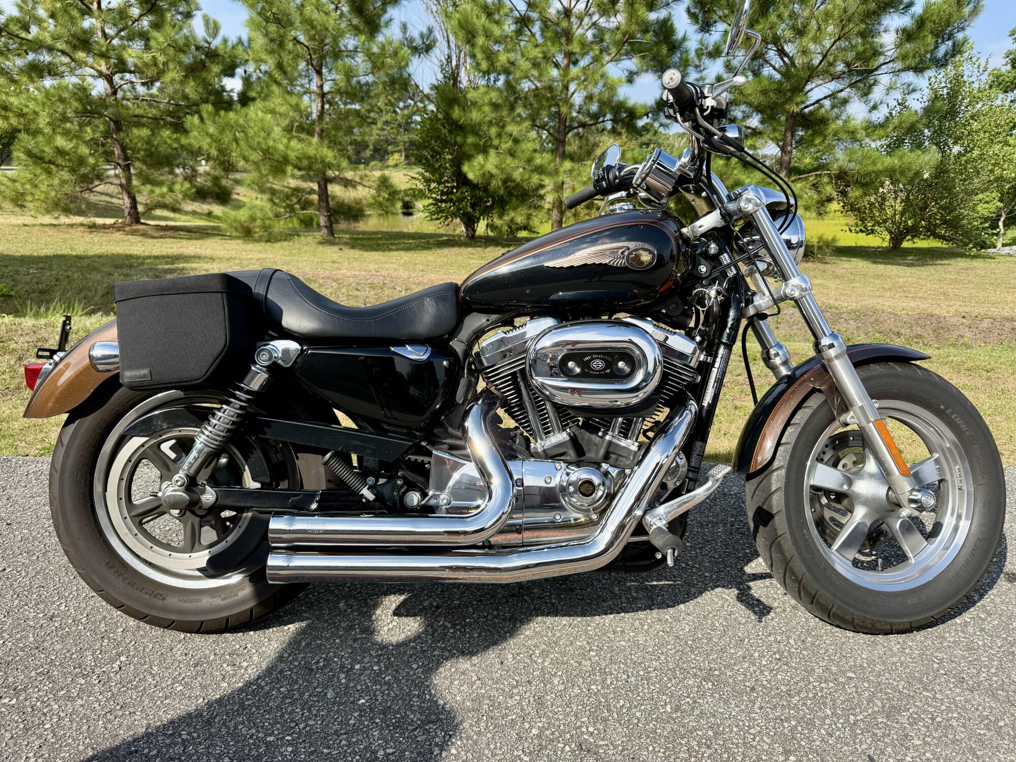 2013 Harley-Davidson 1200 Custom XL1200C 