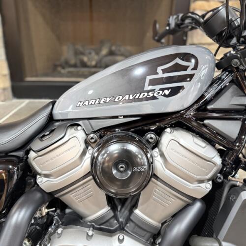 2024 RH975 - NIGHTSTER thumb 3