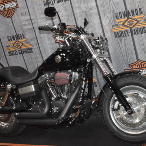 FXDF 2009 Fat Bob® thumb 3