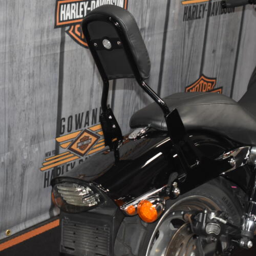 FXDF 2009 Fat Bob® thumb 0