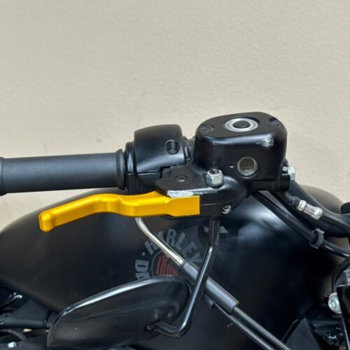 Harley-Davidson® Iron 883™ 2022 thumb 2