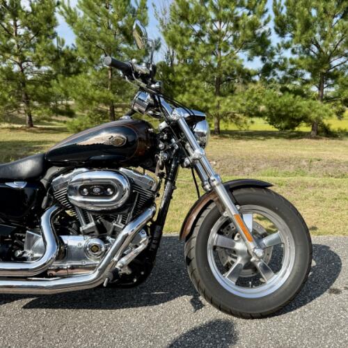 2013 Harley-Davidson 1200 Custom XL1200C  thumb 1