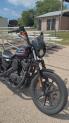 XL 1200NS 2021 Iron 1200™