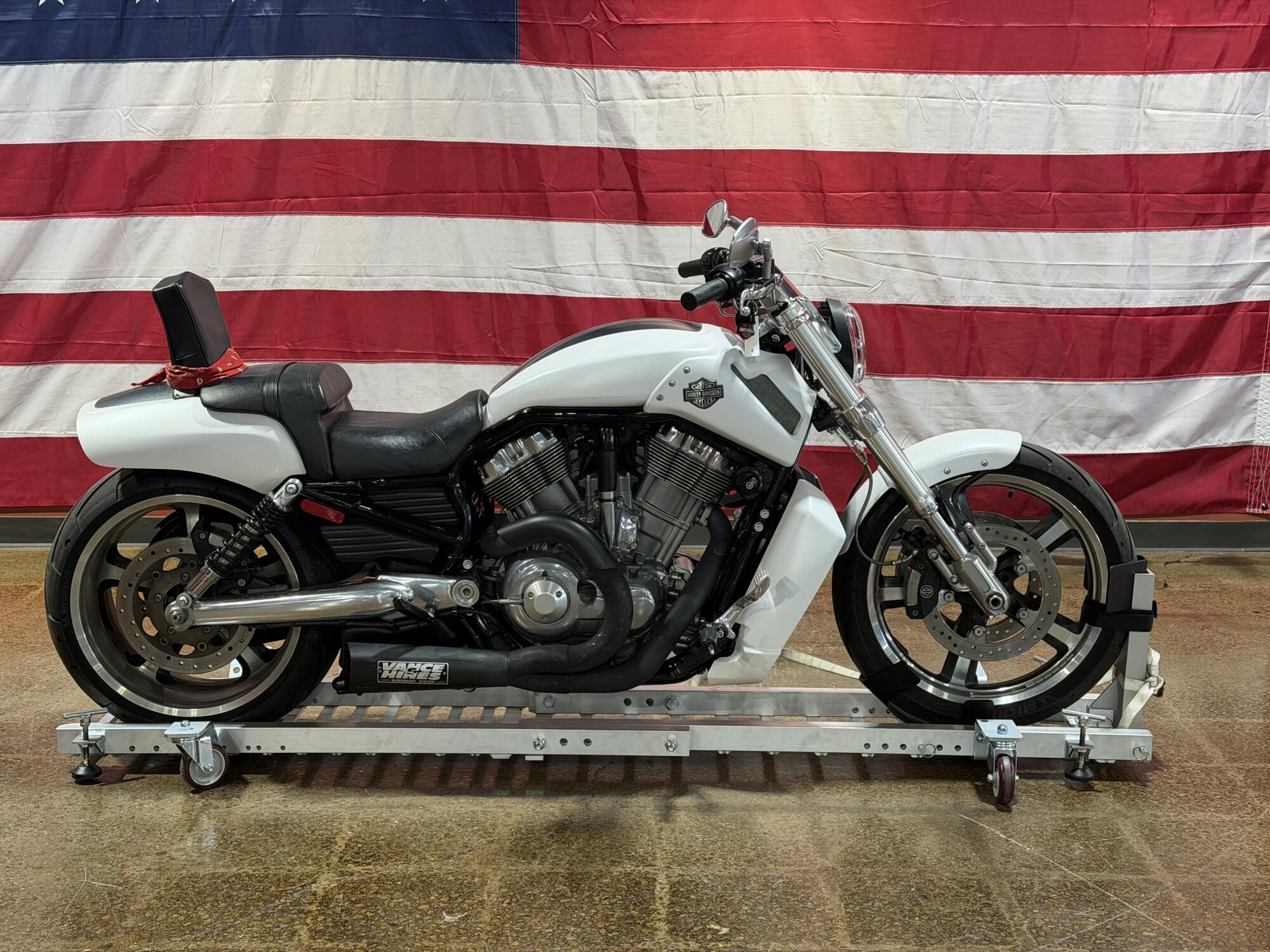 VRSCF 2013 V-Rod Muscle®