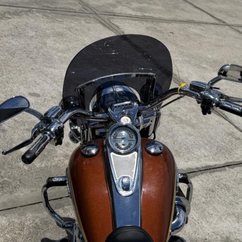 Harley-Davidson FLHRSE 2008 thumb 0