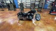 FXST 2024 Softail™ Standard