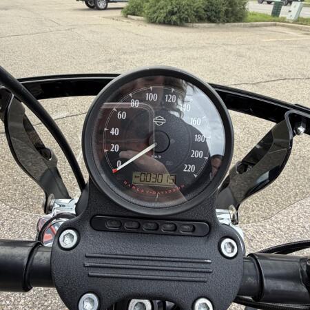 2021 Harley-Davidson® Iron 883™ River Rock Gray thumb 0