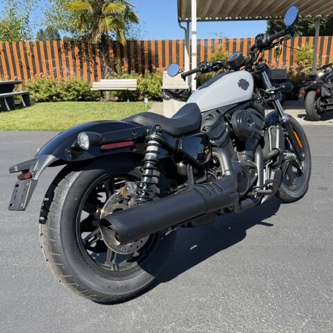 2025 Harley-Davidson® Nightster® Billiard Gray thumb 2