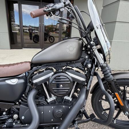 2021 Harley-Davidson® Iron 883™ River Rock Gray thumb 2