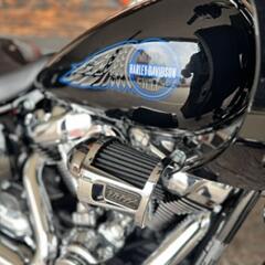 2026 Harley Davidson Low Rider ST FXLRST thumb 2