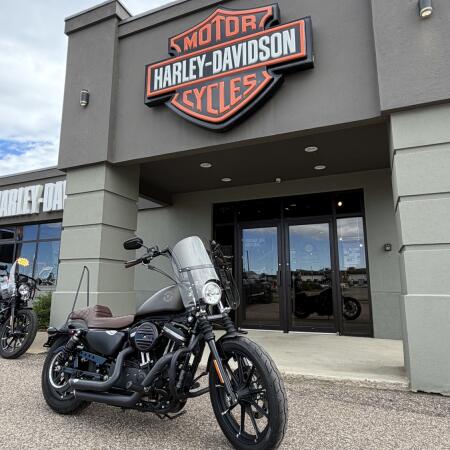 2021 Harley-Davidson® Iron 883™ River Rock Gray thumb 3