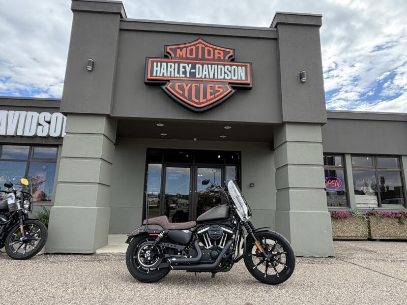2021 Harley-Davidson® Iron 883™ River Rock Gray