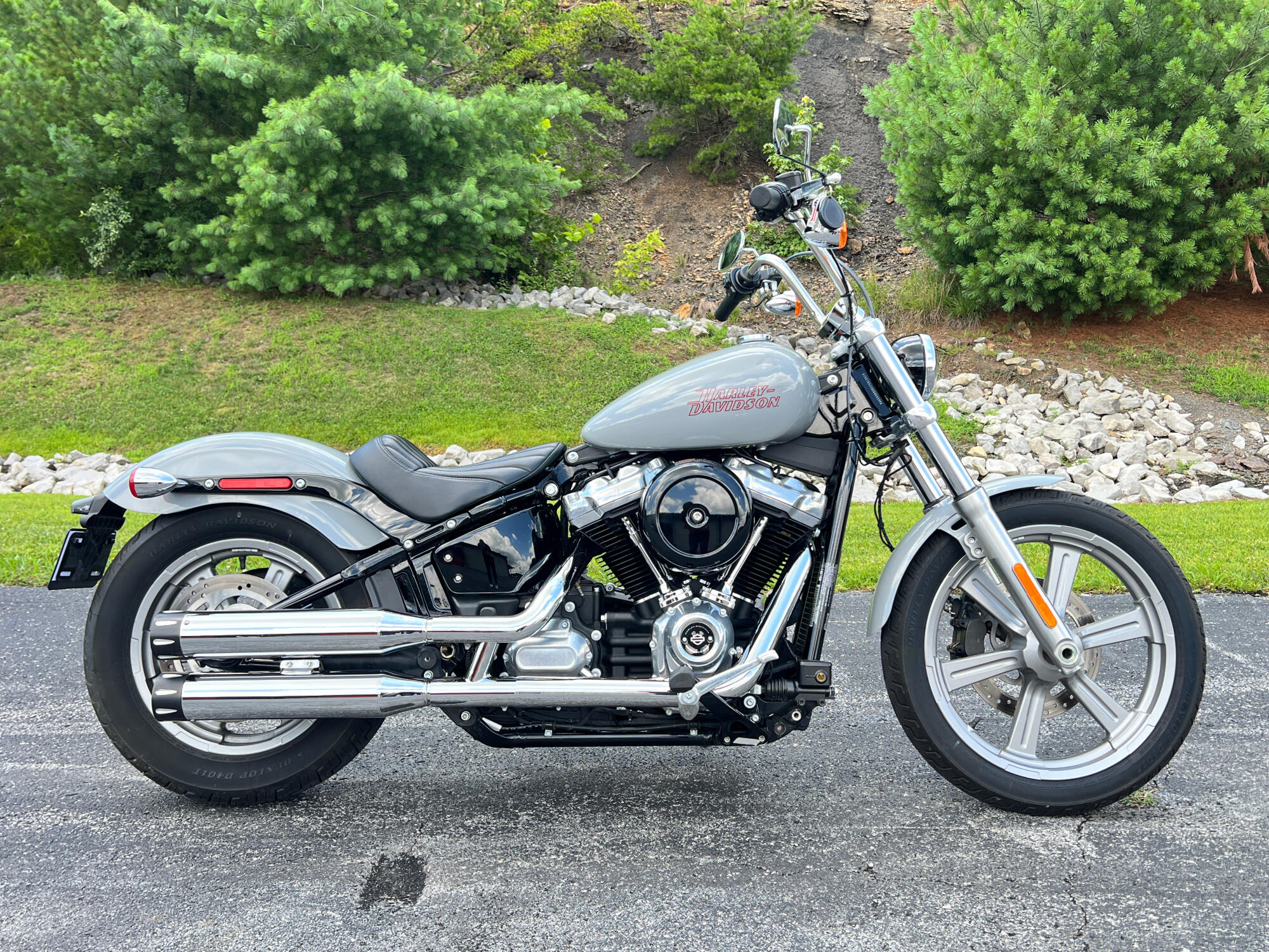 FXST 2024 Softail™ Standard