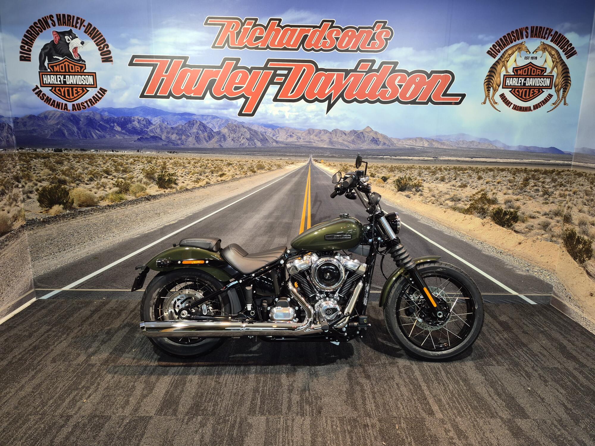 2026 Harley-Davidson® Street Bob® Olive Steel Metallic Chrome Laced Wheels