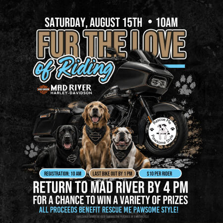 Fur the Love of Riding