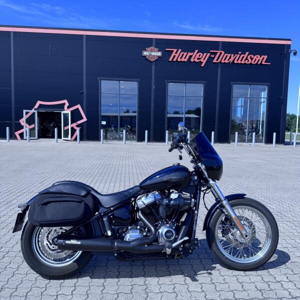 FXST Softail Standard