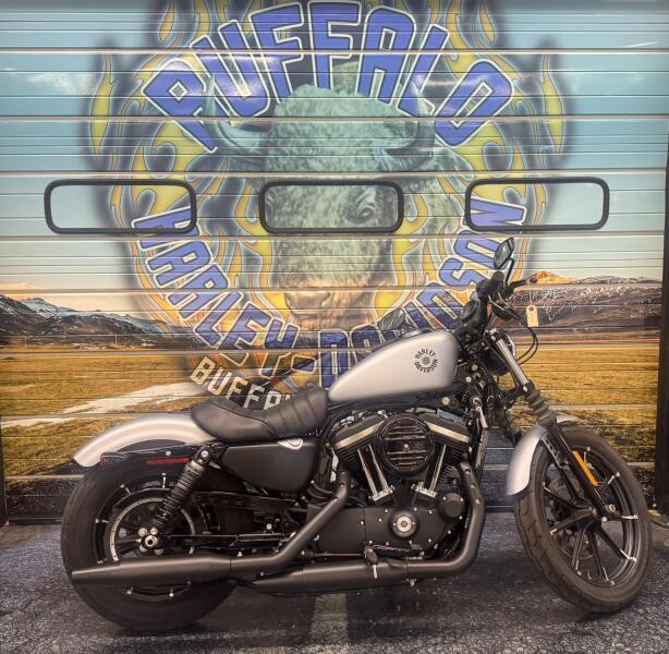 2020 Harley-Davidson® Iron 883™ Barracuda Silver Denim
