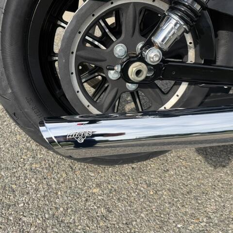 2014 Harley-Davidson® Iron 883™ thumb 2