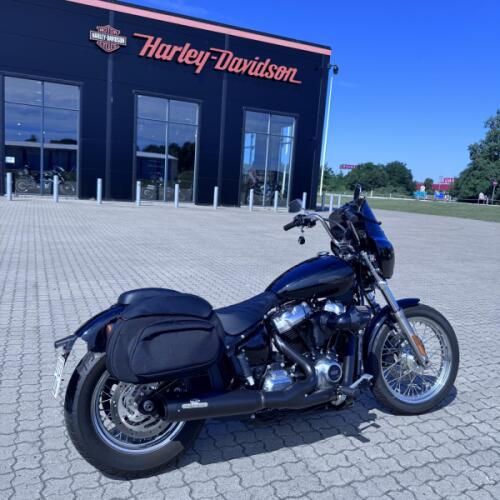 FXST Softail Standard thumb 3
