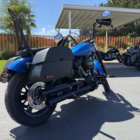 2024 Harley-Davidson<sup>®</sup> Street Bob<sup>®</sup> 114 FXBBS thumb 1
