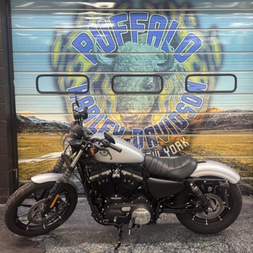 2020 Harley-Davidson® Iron 883™ Barracuda Silver Denim thumb 3