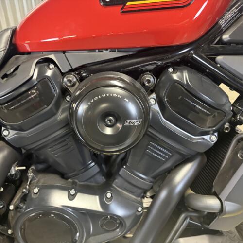 2025 Harley-Davidson® Nightster® Special Whiskey Fire thumb 3