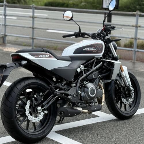 2026 Harley-Davidson® Harley-Davidson X™ 350 White Pearl thumb 2