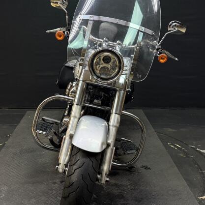 Harley-Davidson® Fat Boy® 2014 FLSTF GRAY thumb 2