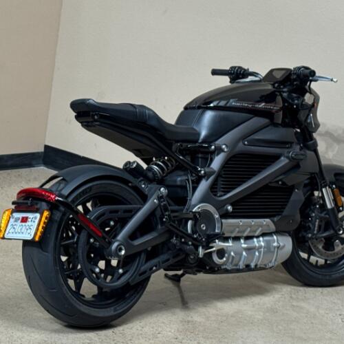 Harley-Davidson® LiveWire™ 2020 thumb 0