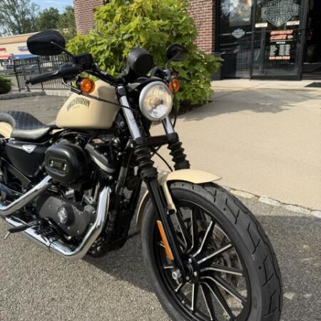 2014 Harley-Davidson® Iron 883™ thumb 3